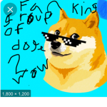 Fan group of doge 2