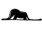 Elephant In Snake UGC