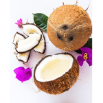 -coconut squad-