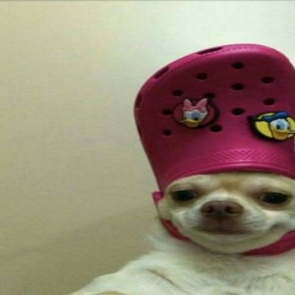 dog Roblox decal