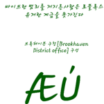 브룩헤이븐 구청[Brookhaven District office]
