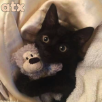 аtx