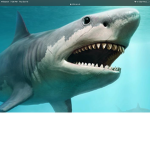 The epic shark peeps