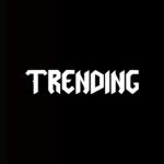 Trending Clothing LM