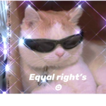 equal rights fr everyone