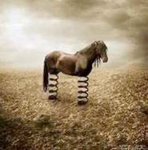(:Fancy Animal:)