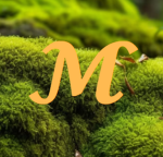 ｡*ﾟThe Mosslands+.*.｡