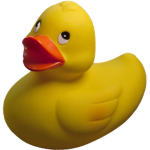 Chicken Games