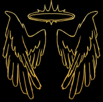 Dark Wing Studio