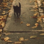 meowzerssss