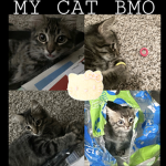 bmocat