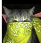 M I A A U $