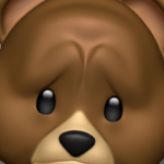 Ollie is a bear