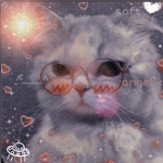 ~ʜᴀᴘᴘʏ ᴄᴀᴛꜱ ꜱqᴜᴀᴅ~