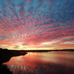 The Sunsets :3