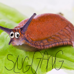 VABAVAVAAVAVAVAVAVAVANVAN