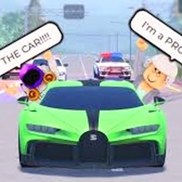 Car Driving Vietnam?