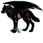 The Shadow Werewolves