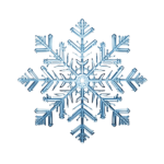 [FORCE] Frozen Fleet
