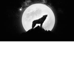 `` Full Moon Wolves ` `