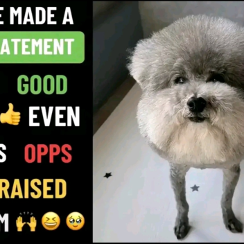 He made a statement