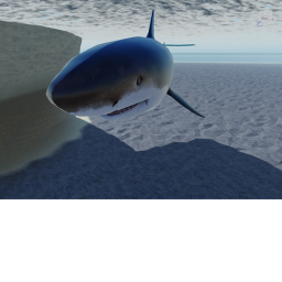 Survive a Shark!