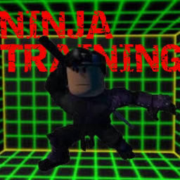 NINJA TEST