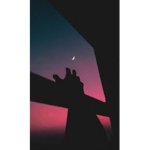 * Shøøting Stars *