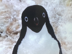 Penguin club and Minecraft Wow