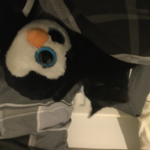 Stub hen
