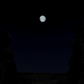 Nature Trail at Night