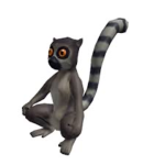 Just Lemurs