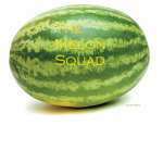 The Melon Squad