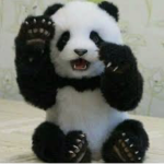 Pandas The.Polinok