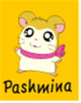 Pashmina