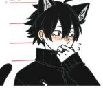 Omega Boyliker Division