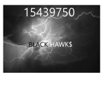 BŁACK HAWK$