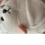 우리의꿈