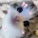 .cupidz