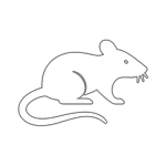 Pet Rat (Yours Forever)