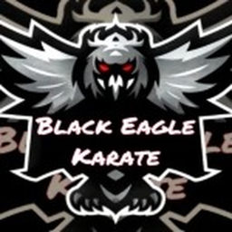 Black Eagle Karate Modern Dojo