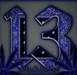 SUR13CARTEL