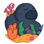 Coral Duck