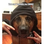 Swag master yolo club cool