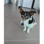 MissElla