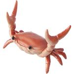 cool crab crew
