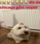 vro village