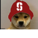 TEH_SQAUD