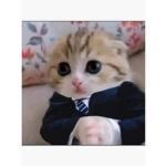 oha :>