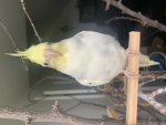 bob and jeffs land
